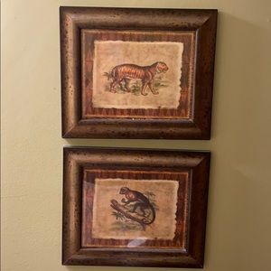 Set of 2 animal prints. Tiger and monkey picture